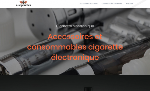 https://www.e-vaporettes.fr