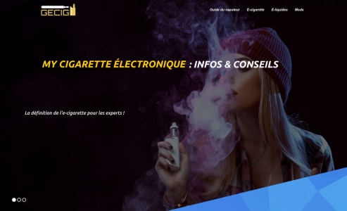 https://www.gecig.fr